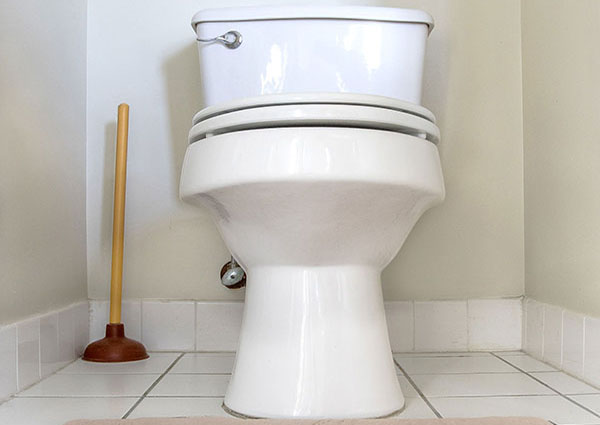 Roanoke Clogged Toilet and Toilet Repair