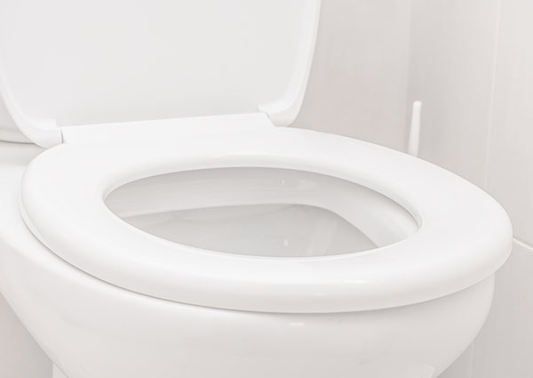 clogged toilet repair in flower mound texas